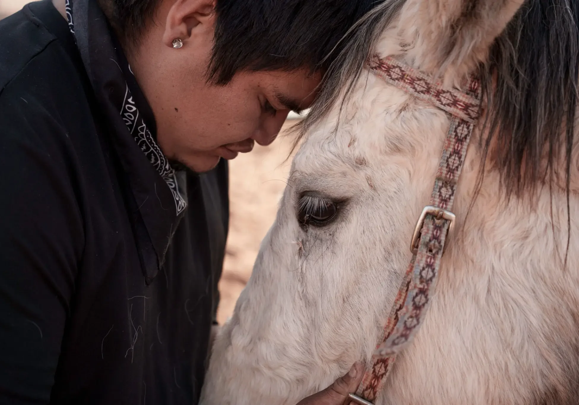 Man affectionately bonding with a white horse.